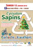 opération sapin 2018.jpg