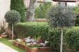 parterrefleuri-img_8659.jpg