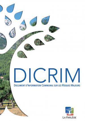 image-dicrim