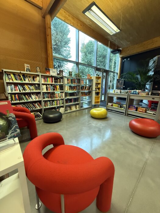 Photo de l'espace ado de la médiathèque. Des fauteuils rouges design et des poufs colorés (jaune, rouge, noir) sont disposés pour offrir un espace de détente et de lecture. Les étagères remplies de livres, de mangas et de bandes dessinées sont accessibles, et de grandes baies vitrées laissent entrer une lumière naturelle abondante.