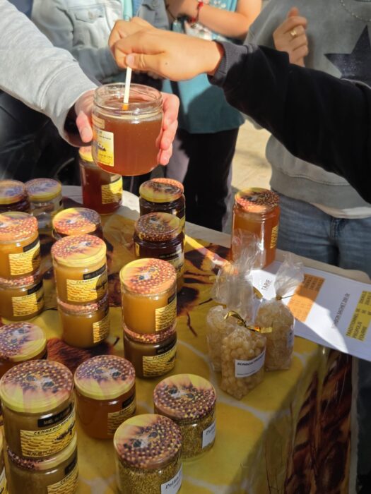 "Stand de dégustation et vente de miels artisanaux lors du Printemps du Coudon. Plusieurs pots de miel de différentes variétés sont exposés sur une table recouverte d’une nappe jaune. Une personne tend un pot ouvert pour faire goûter le miel. Des sachets de pollen et de propolis sont également visibles.