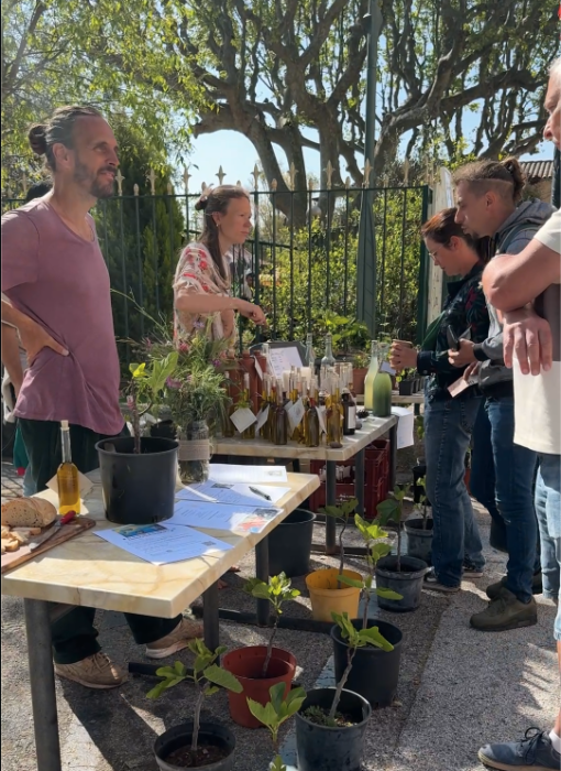 Stand de vente de plantes et d’huiles artisanales lors du Printemps du Coudon. Plusieurs personnes discutent autour d’une table où sont exposés des plants en pot, des bouteilles d’huile, et des documents informatifs. L’ambiance est ensoleillée, avec des arbres en arrière-plan.