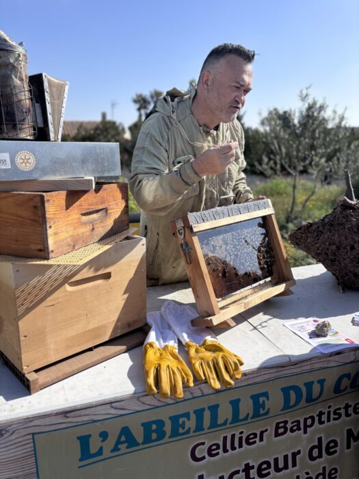 L’apiculteur Baptiste Cellier présente un cadre de ruche rempli d’abeilles lors d’un atelier au parc de l’Abeille. Il porte une tenue de protection et montre le cadre à des visiteurs, tandis qu’une paire de gants jaunes et une ruche en bois sont posés sur la table. Une banderole indique 'L’Abeille du Coudon – Cellier Baptiste, producteur de miel à La Farlède'.