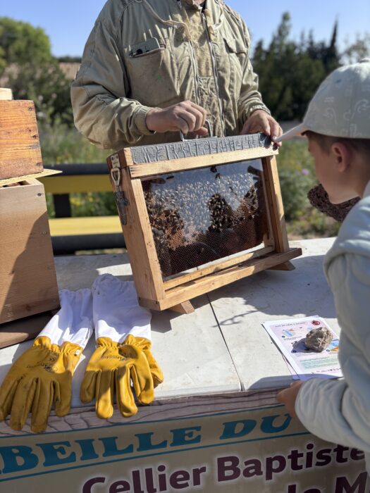 Atelier de découverte d’une ruche pédagogique lors du Printemps du Coudon. Un apiculteur montre un cadre rempli d’abeilles à un enfant, tandis qu’une paire de gants jaunes et un document informatif sont posés sur la table. Une banderole indique 'Cellier Baptiste, Abeille du M...