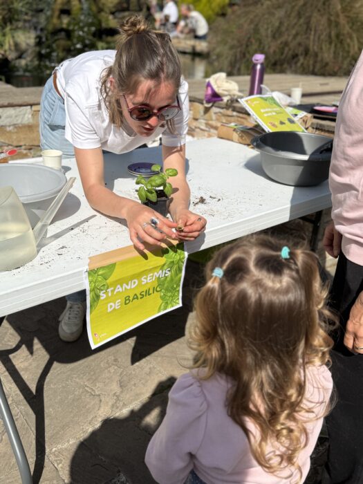 Atelier de plantation de basilic lors du Printemps du Coudon. Une animatrice montre à une enfant comment planter un jeune pied de basilic dans un pot rempli de terreau. Sur la table, des bols de terreau, des pots en plastique, une carafe d’eau et une affiche 'Stand Semis de Basilic' sont visibles. L’ambiance est ensoleillée et éducative