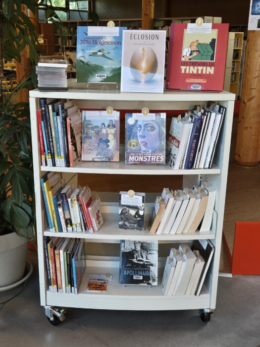 Présentoir de livres en médiathèque avec une sélection thématique "Éclosion" mettant en avant des ouvrages sur les débuts et les transformations.